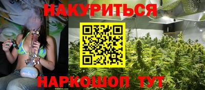 гидропоника Будённовск
