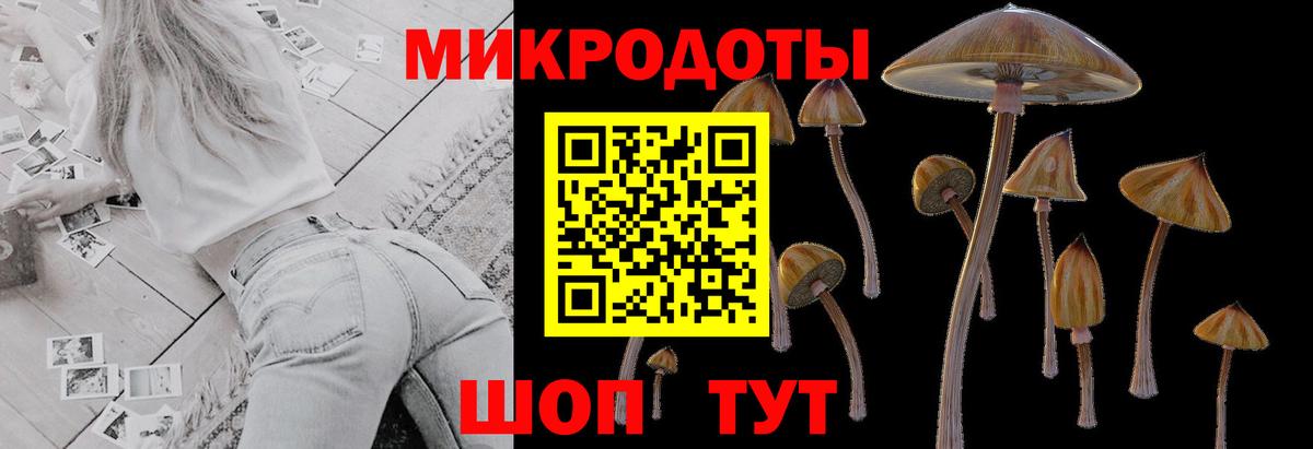 Мурино  Галлюциногенные грибы ЛСД  где купить наркоту  Псилоцибиновые грибы мицелий  Вход с VPN 